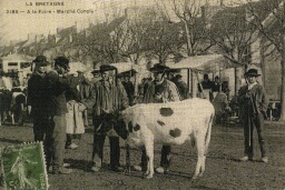 /medias/customer_2/NUMERISATION_2025/complément 4 Fi portail 2025/4_Fi_1683_jpg_/0_0.jpg